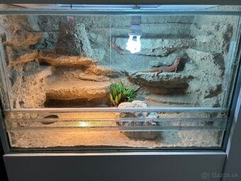 Terarium so skrinkou