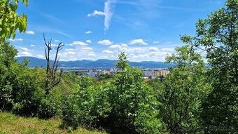 Na predaj rekreačný pozemok 2 920 m², Nové Mesto nad Váhom