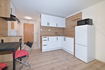 VEĽKÁ REKONŠTRUOVANÁ GARSÓNKA, SUPER DOSTUPNOSŤ DO CENTRA BA