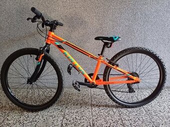 Kellys Kitter 30 24"