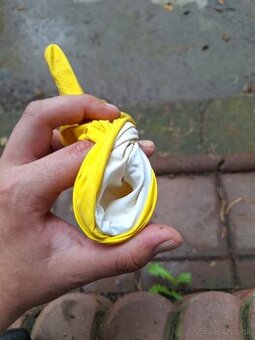 Pocket Pussy