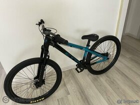 CTM Dirtking Xpert 2021