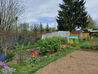 🌿 Záhradka v Martine (za Košútmi) – 120 m², chatka