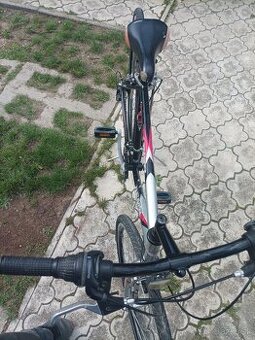 Trekingovi bicykel Dema