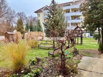 Šamorín - predaj veľkého 1 izb. bytu s parkovacím miestom vo - 1