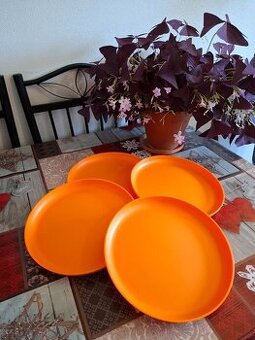 Allegra tanier orange od Tupperware