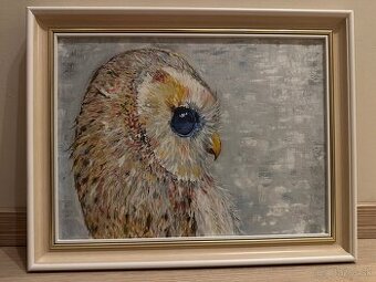 Predám obraz s motívom sovy.