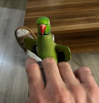 Alexander Malý kľudný krotký.