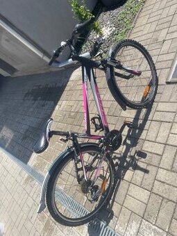 Bicykel CTM 26
