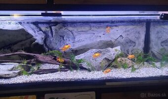 Akvárium 450l