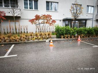 Zelené Vlčince-vonkajšie P