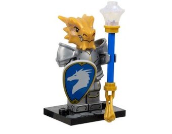 71047 Dragonborn Paladin
