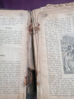 Starožitna biblia - 1
