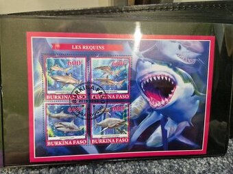 Zberateľský Album s Arsikmi