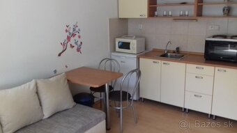 Prenájom garsónky v centre Nitry