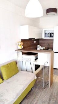 Prenájom 1,5 izbový byt