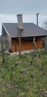 Predám pozemok s viničným domčekom