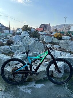 Specialized enduro pro