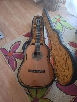 Na predaj celomasívna gitara