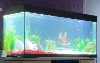 Predám Juwel akvárium set Rio LED 240 121 x 41 x 55 cm 240 l