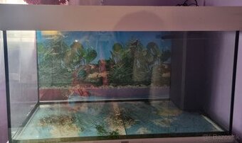 Akvarium 120l