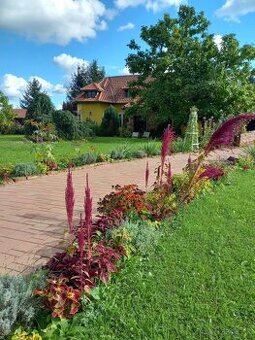 JEDINEČNÁ JAZDECKÁ FARMA V ÚPLNOM SÚKROMÍ