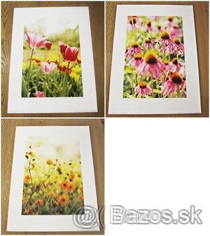 Plagátové printy kvety - sada 3 kusy