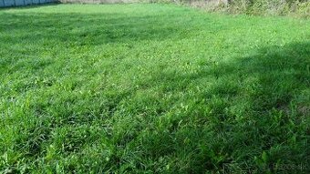 Predaj, Stavebný pozemok, Ladomirová, okres Svidník