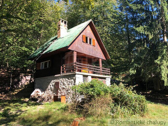 Chata v úžasnom lesnom prostredí Karpát nad obcou  Limbach