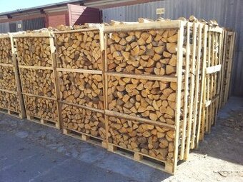 PALIVOVÉ DREVO - BUK