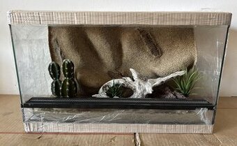 Zariadené terárium 50x30x30, 60x30x30 a 70x30x30