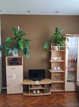 Obývačková zostava / obývacia stena