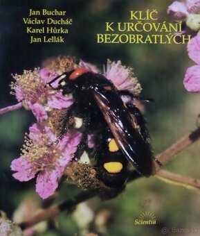 Klíč k určování bezobratlých