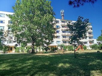 2 izbový byt na predaj, Pliešovce