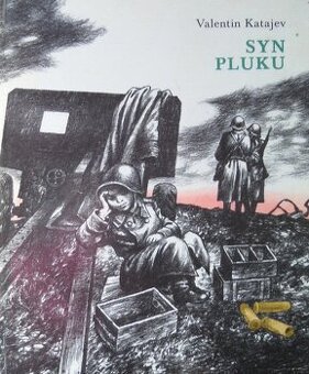 Syn pluku - Valentin Katajev