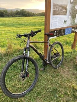 CTM rambler 1.0 “29 XL