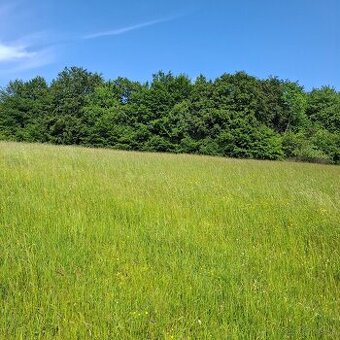 STAVEBNÝ POZEMOK-REGETOVKA