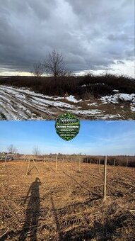 ČISTENIE ZANEDBANÝCH/ ZARASTENÝCH POZEMKOV –Lesná Fréza KN