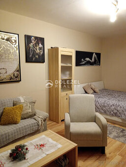 1 izbový, Prenájom, Košice Západ, Pražská - 1