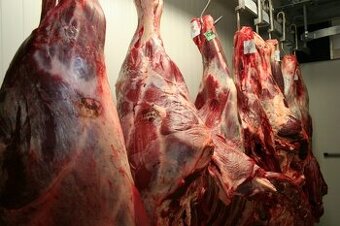 Mäsiar – PORÁŽKA (hovädzia) – Rakúsko (ubytovanie ZADARMO, b