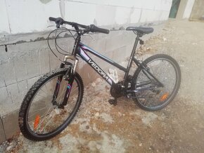 Bicykel Vedora