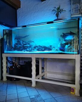Akvarium 1100 Lit.