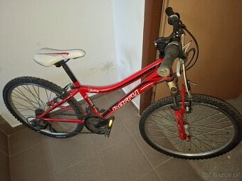 Bicykel Harry Jetty 24