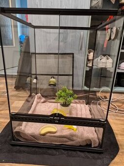 Predám terarium pre chameleóna