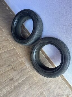 225/55 R17 2ks