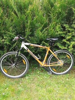 Bicykel