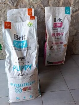 BRIT Care