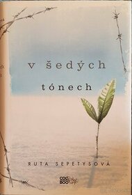 V sedych tonech - Sepetysova