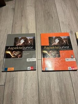 Knihy SŠ - Aspektel Junior B1 plus, Direkt Neu 3 (s DVD)