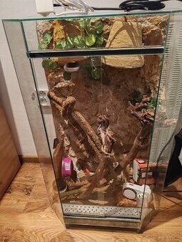 Terarium 80x50x35